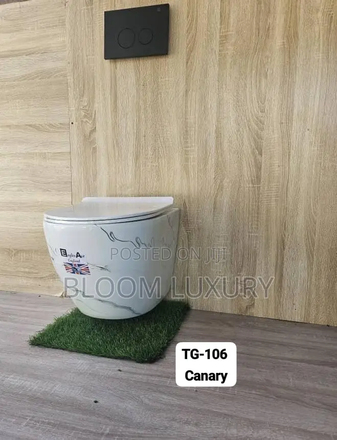 The Ultimate Space Saver Conceal Toilets