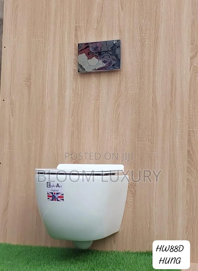The Ultimate Space Saver Conceal Toilets