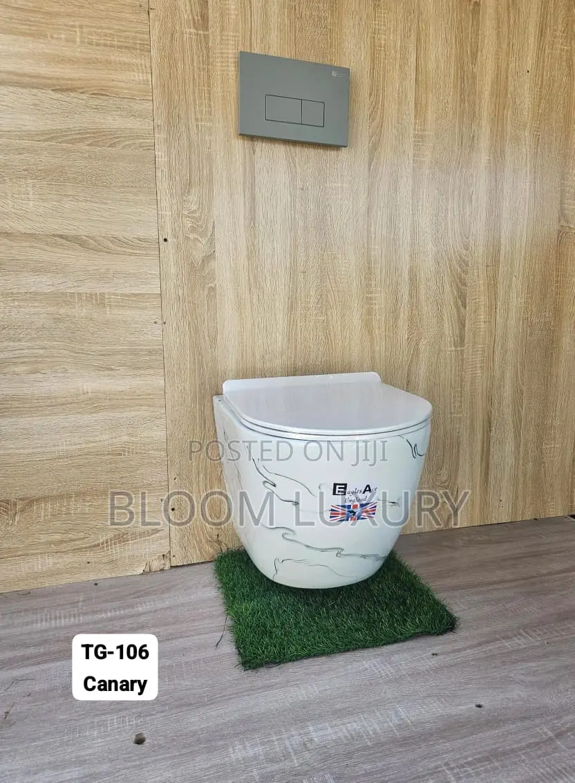The Ultimate Space Saver Conceal Toilets
