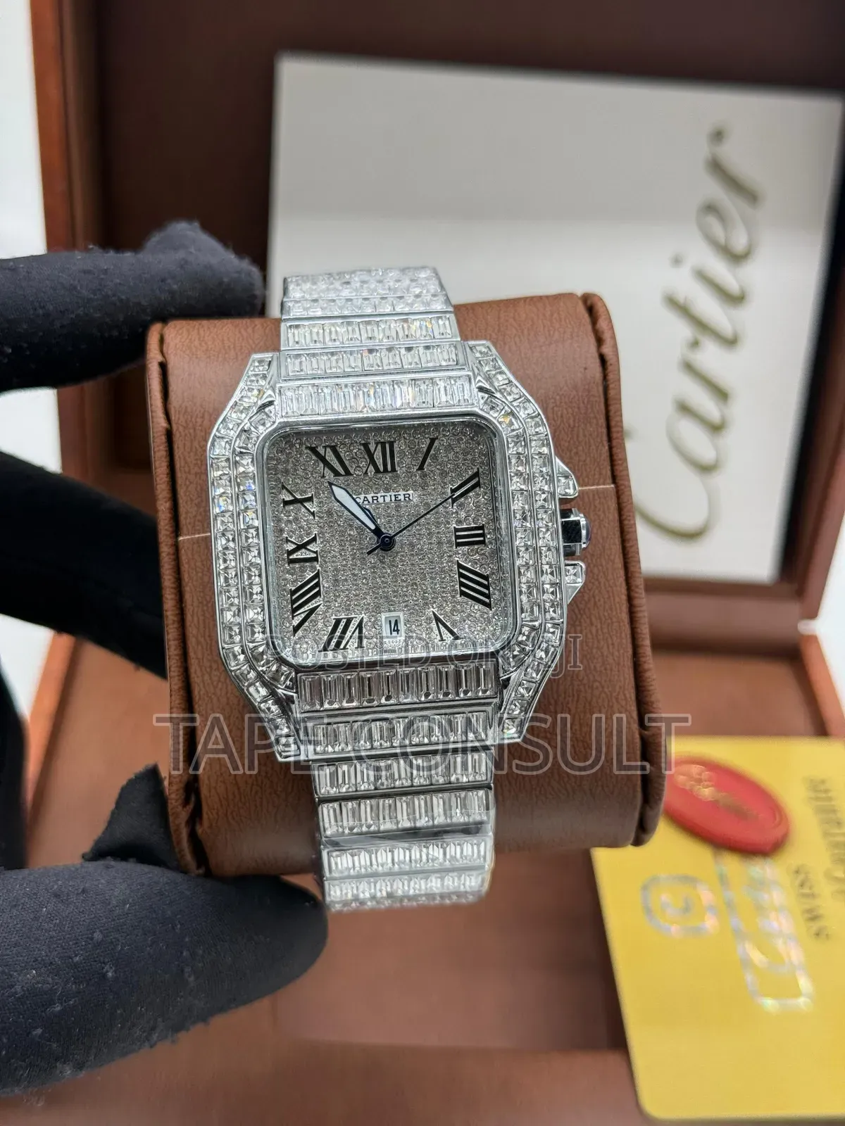Original Luxury Cartier Santos Ice Wrist Watch