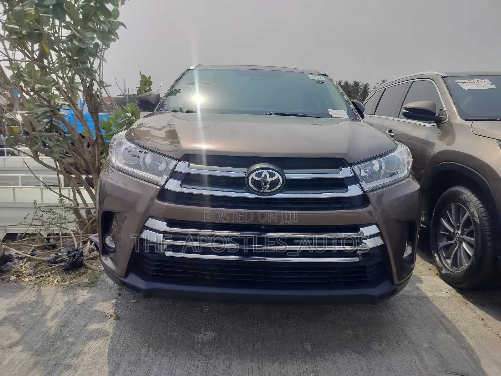 Toyota Highlander Limited 2019 Brown