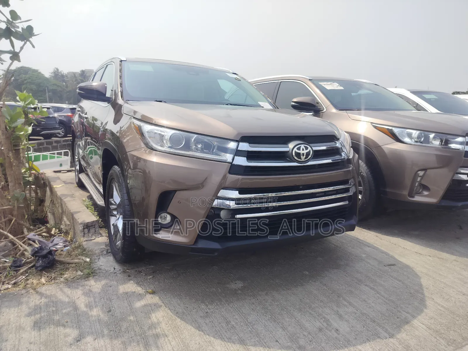Toyota Highlander Limited 2019 Brown