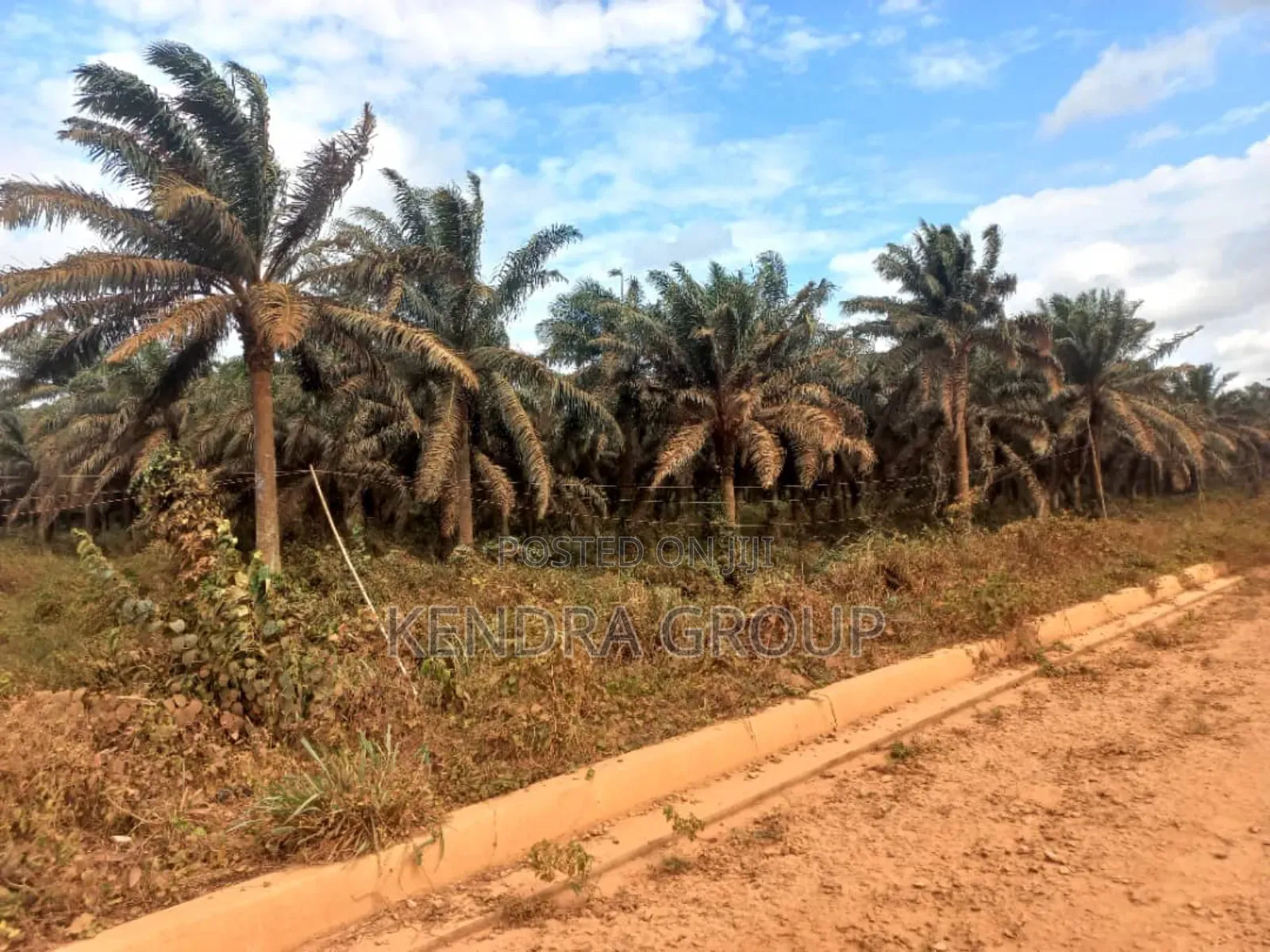 Land for Sale at Springville Estate, Oluodo