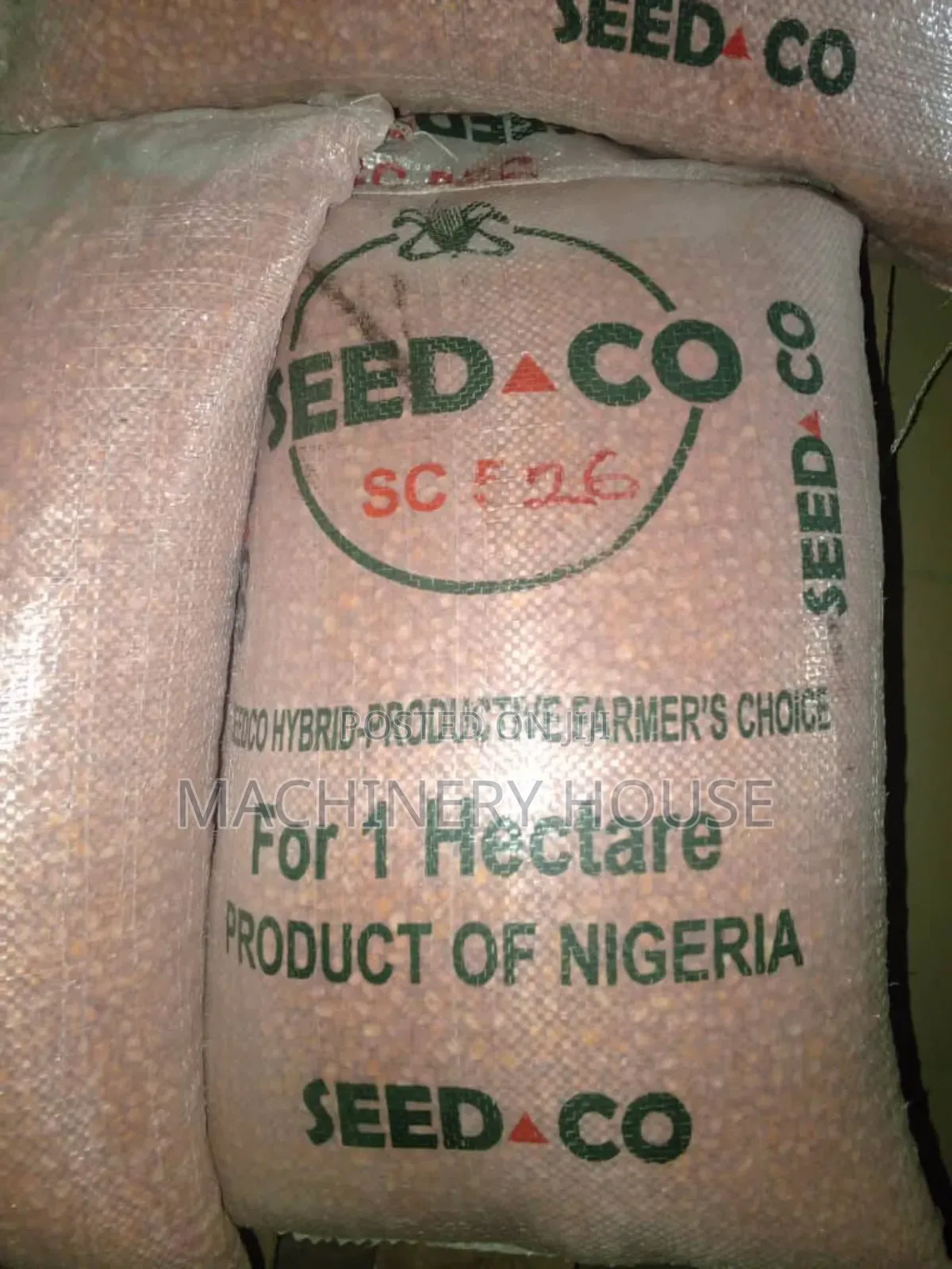 Grains Seeds for Sale