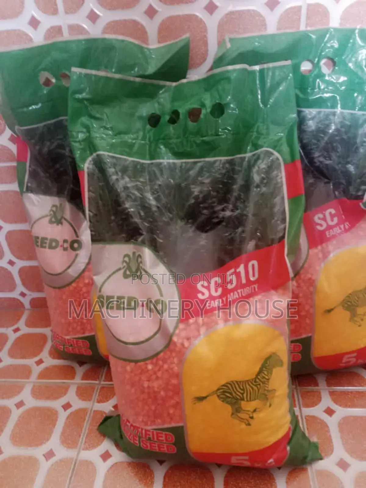 Grains Seeds for Sale