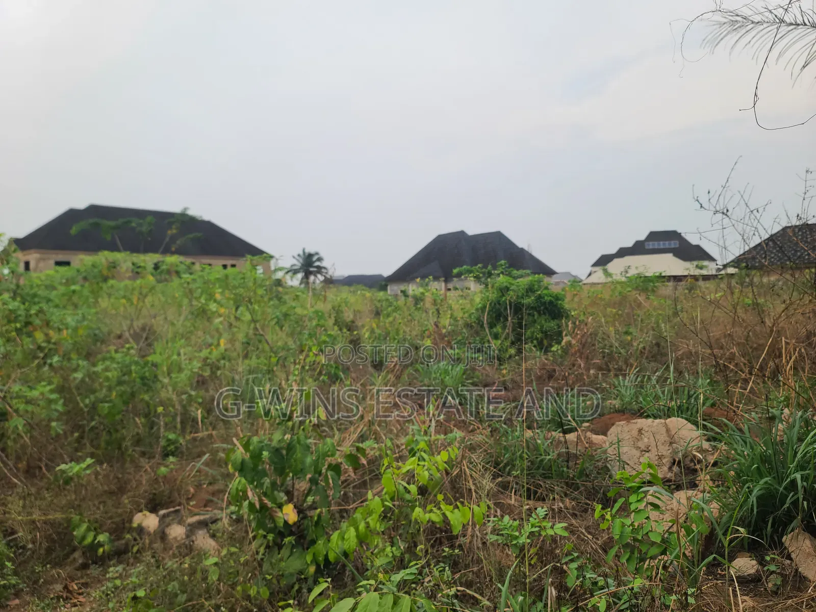 For Sale 200ft by 200ft Four Plots at Amagba Gra