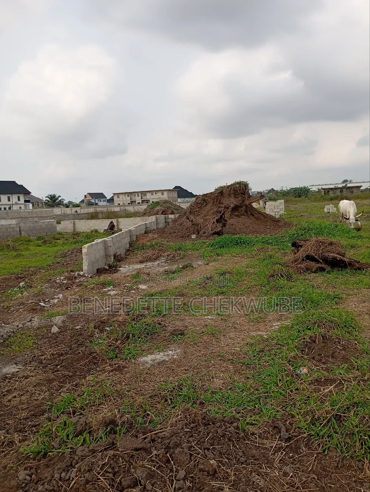 3 Plots for Sale