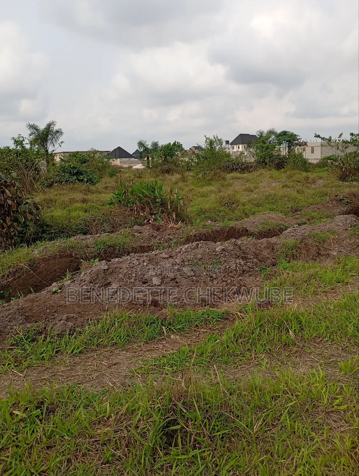 One Plot for Sale
