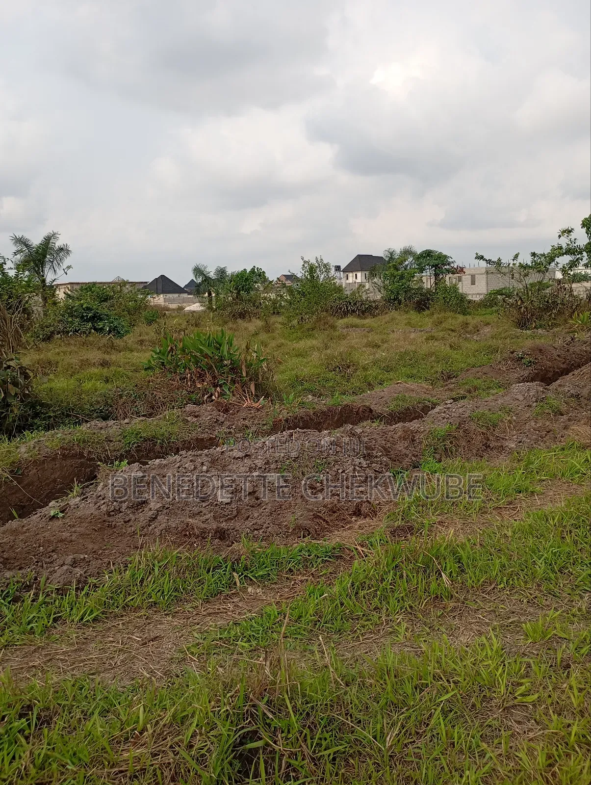 One Plot for Sale