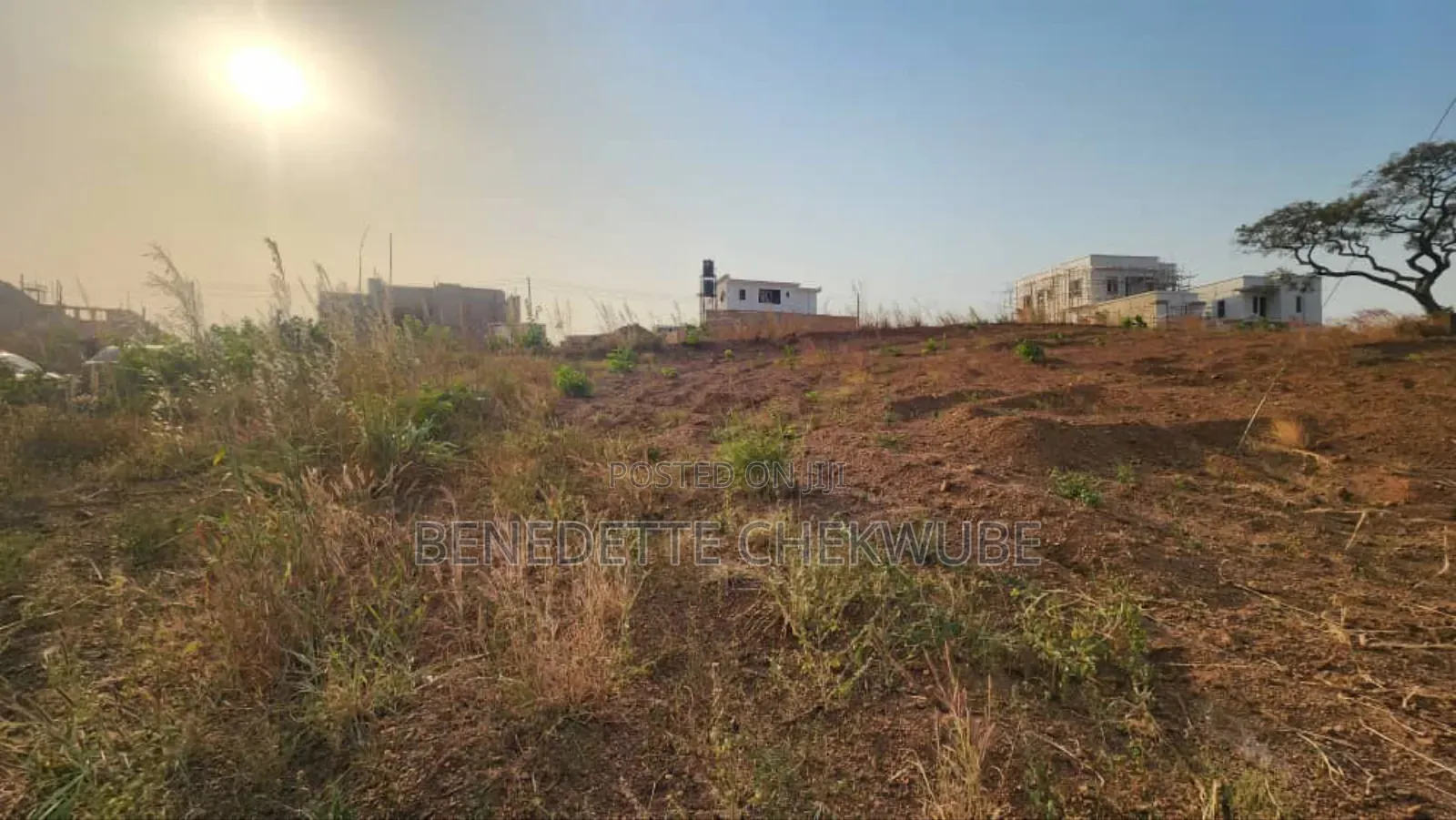 Four Plots of Land