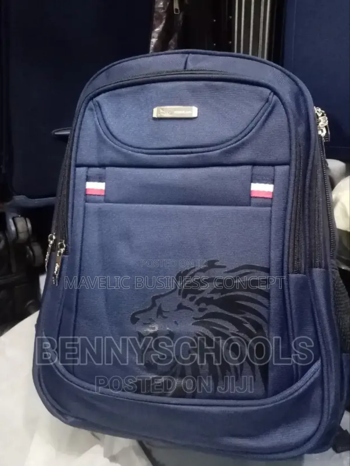 School or Laptop Bag