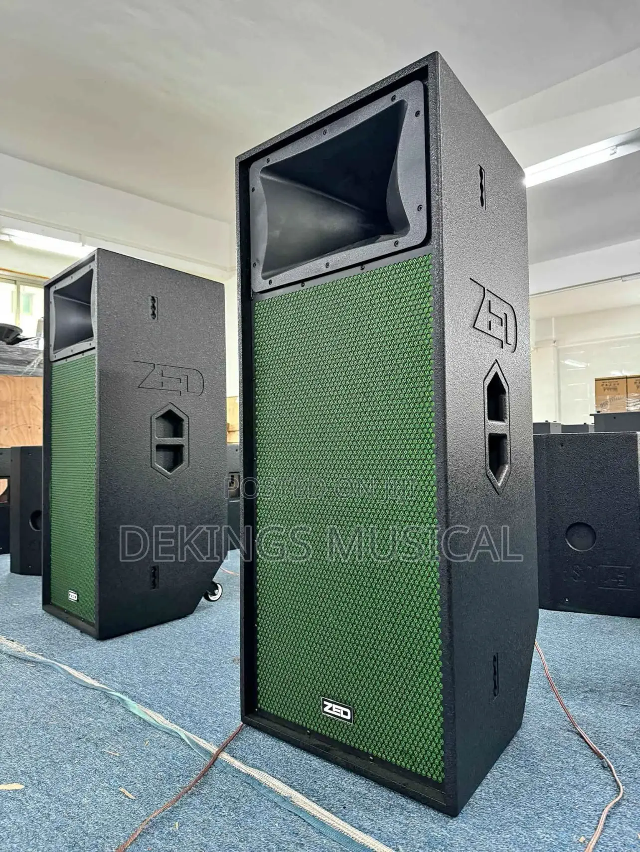 ZED TD825 Full Range Heavy Duty Loudspeaker