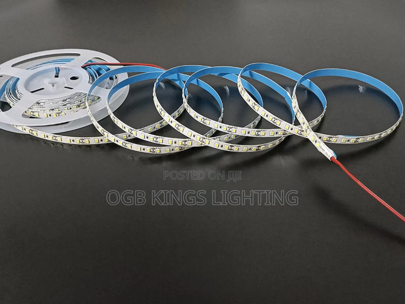 5mtrs White Led Strip Dc 24v Led Tape Light