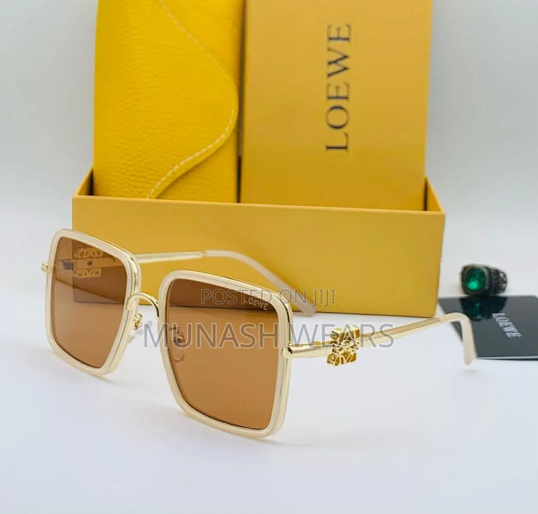 Luxury Loewe Glasses for Ladies