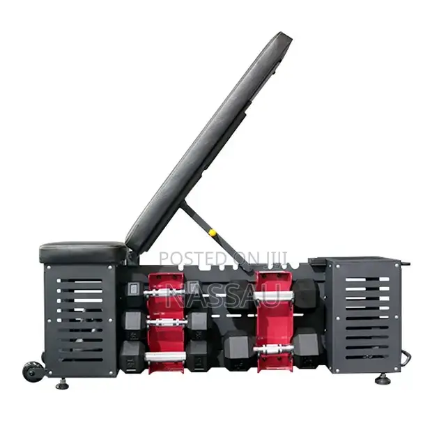Commercial Dumbbell Adjustable Multi-Function Bench