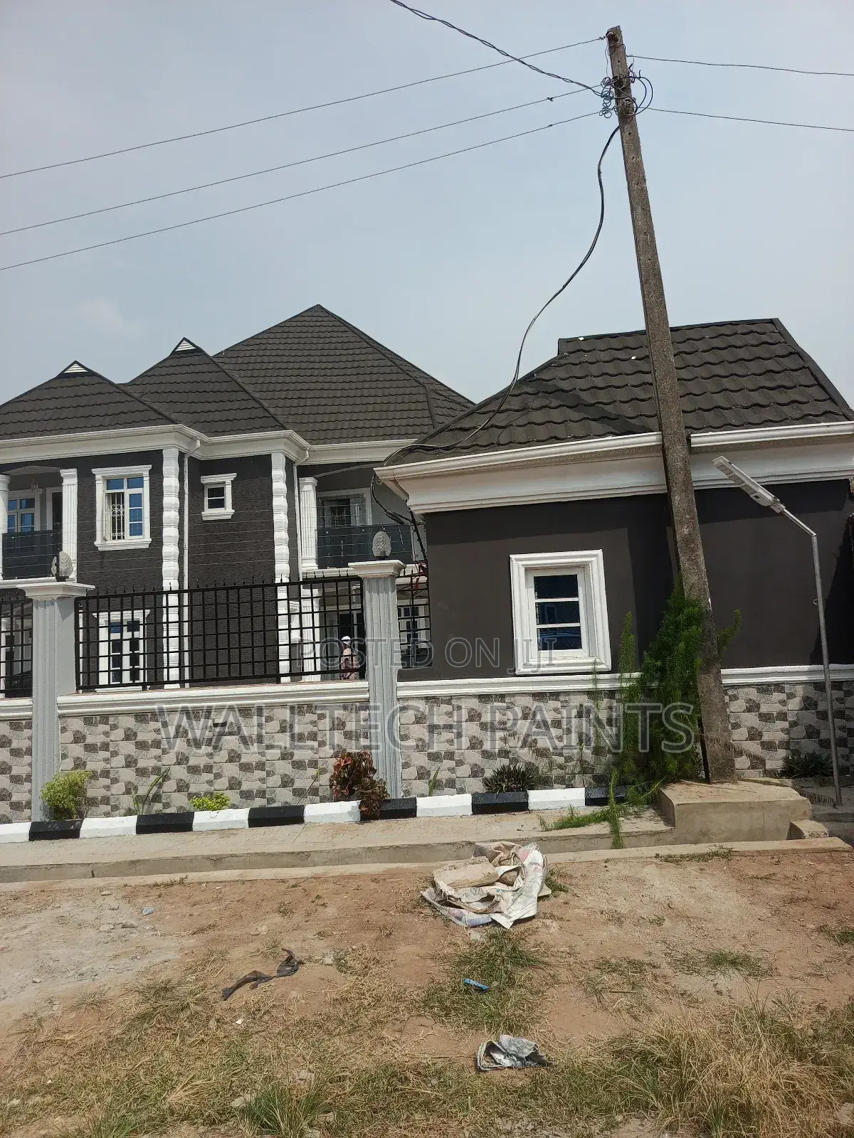 Pro Painter for Interior and Exterior Painting