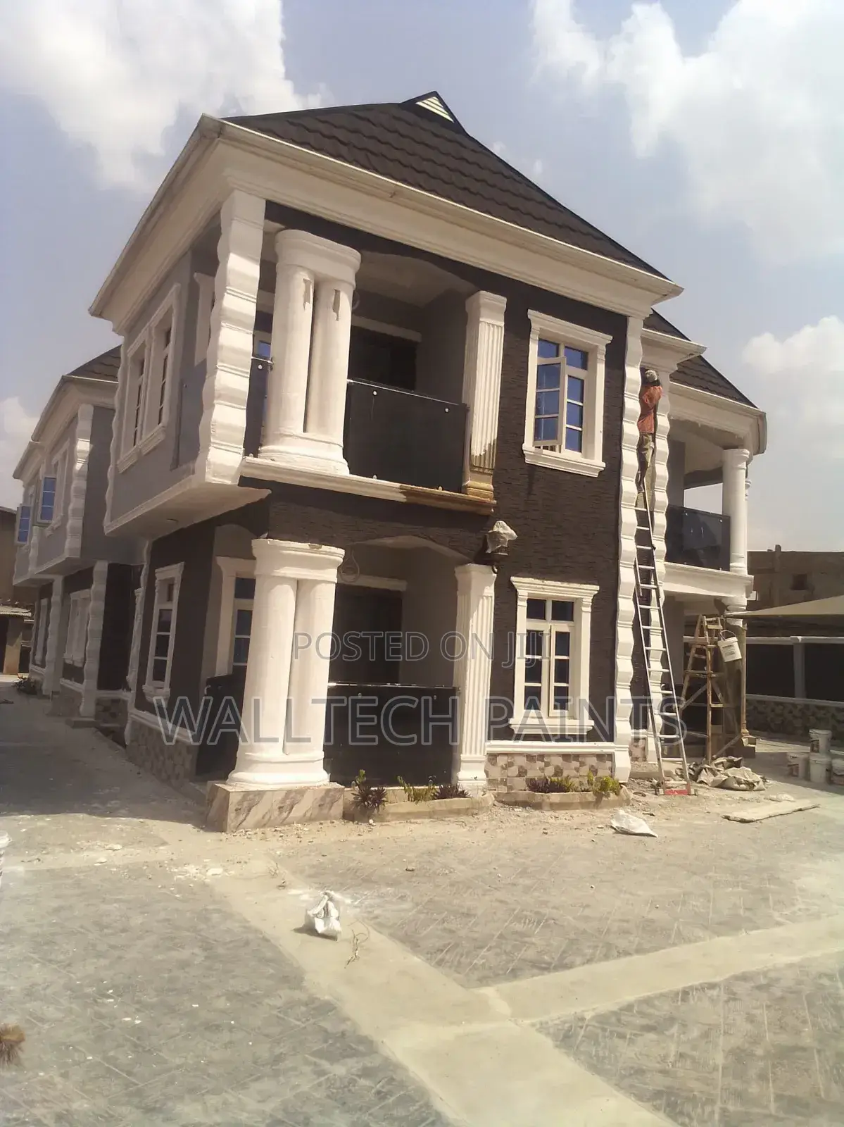 Pro Painter for Interior and Exterior Painting