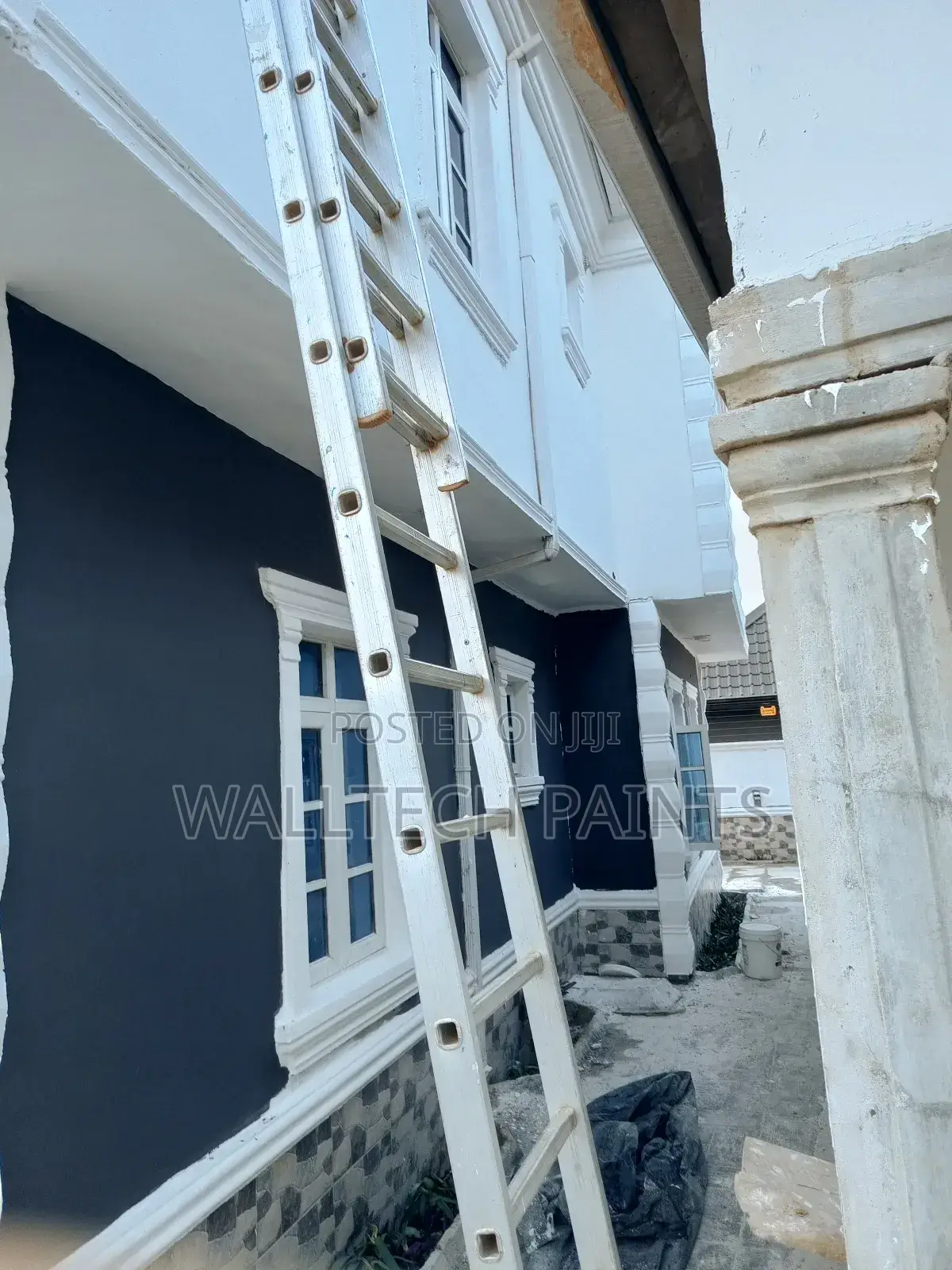 Pro Painter for Interior and Exterior Painting