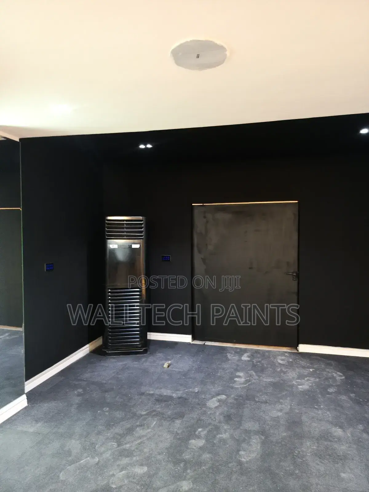 Professional Painting Services