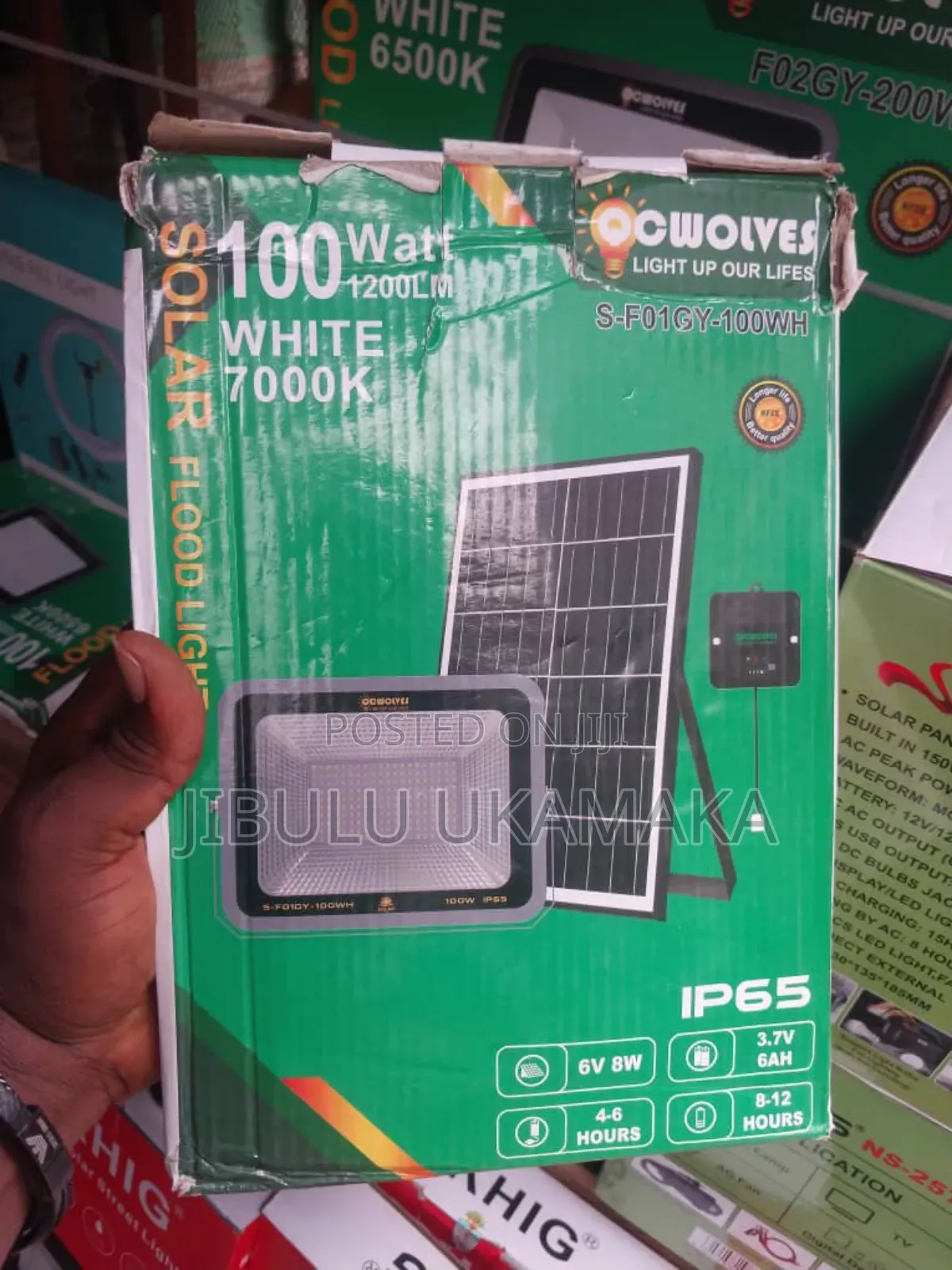 100w Solar Flood Light White 