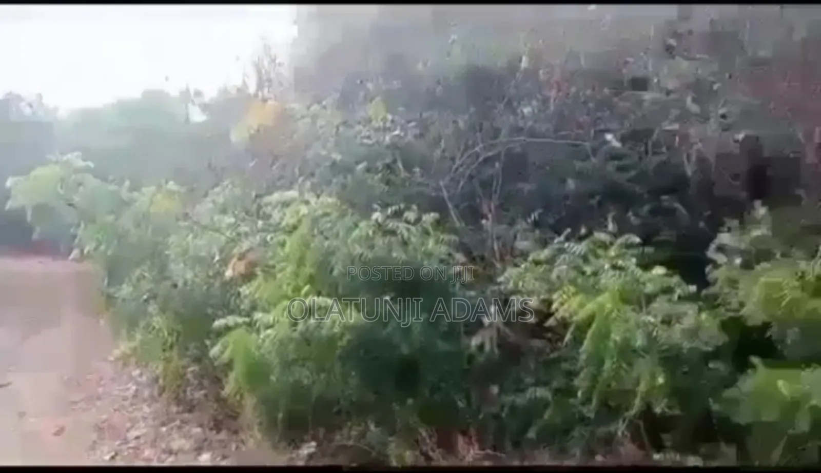 For Sale 25acres of Farmland With 1000,Trees of Cashew,Palm