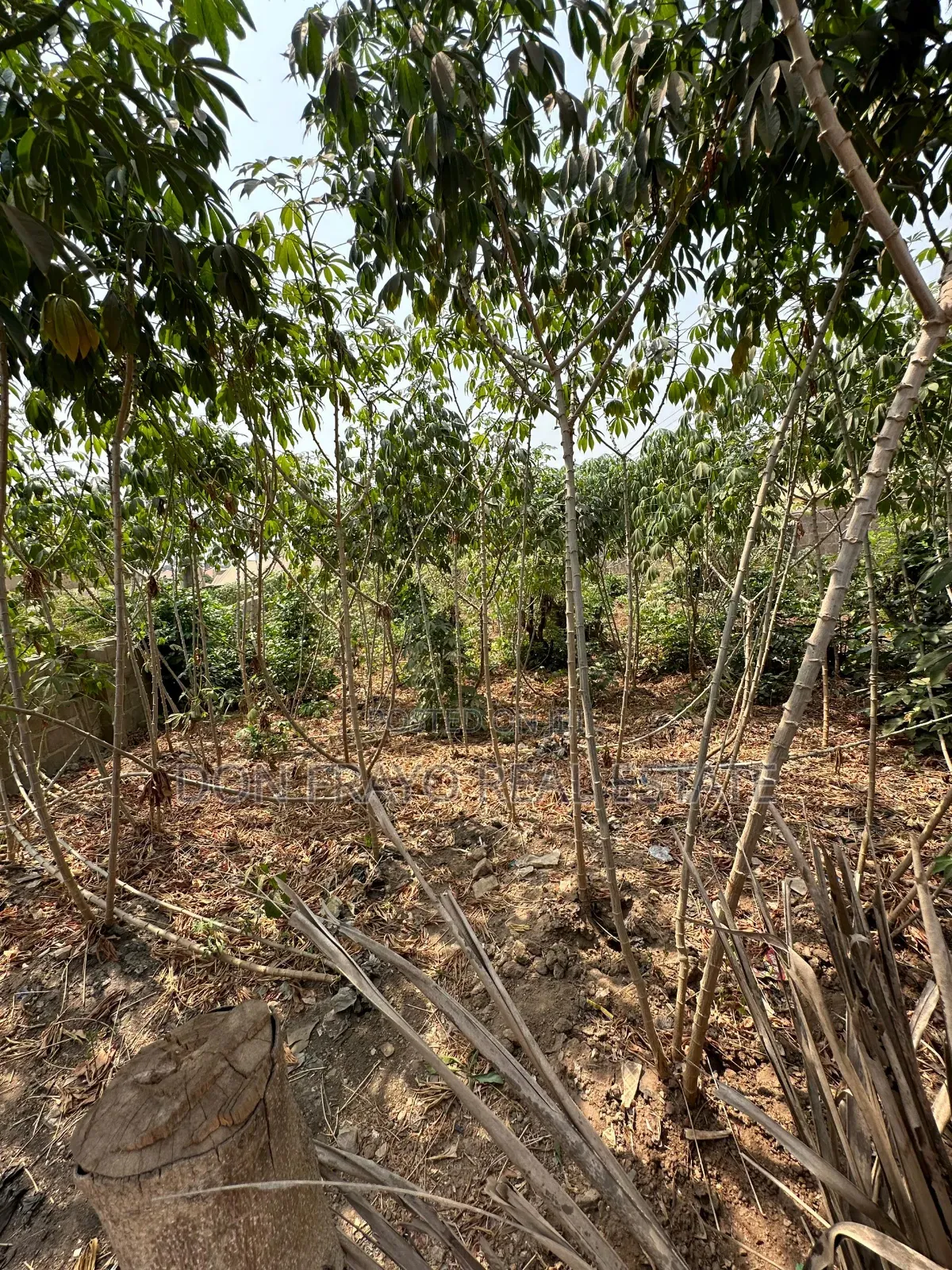 500 SQM Residential Land for Sale at Anifalaje Akobo