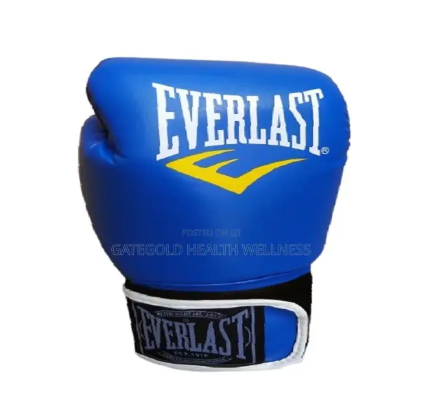 Boxing Glove 14oz BXG-Exa
