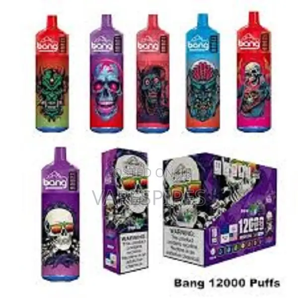 Bang 12000 Puffs 2025 Disposable Vape Bang Maxi Recharge
