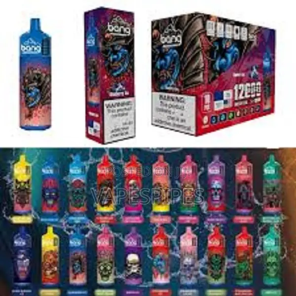 Bang 12000 Puffs 2025 Disposable Vape Bang Maxi Recharge