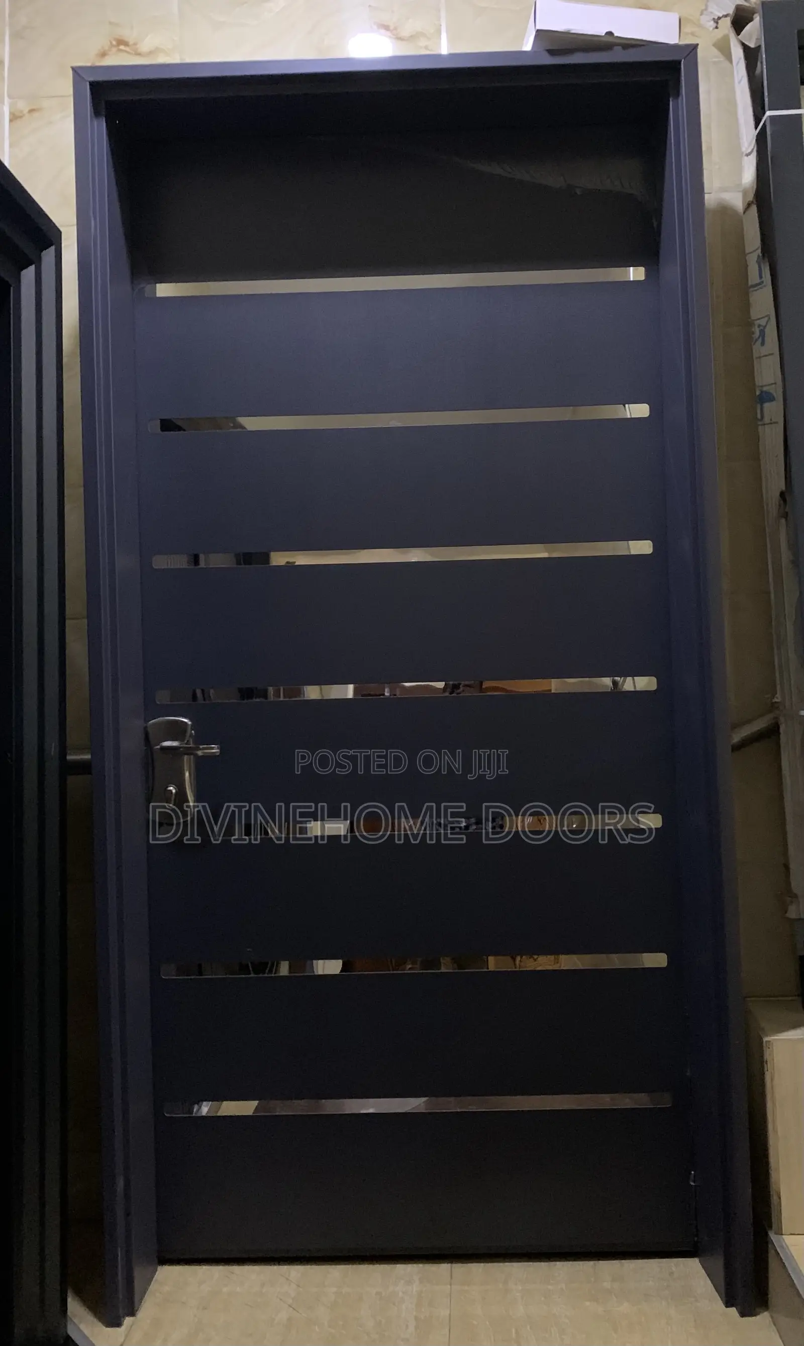 Silver Line Isreali Gray Door