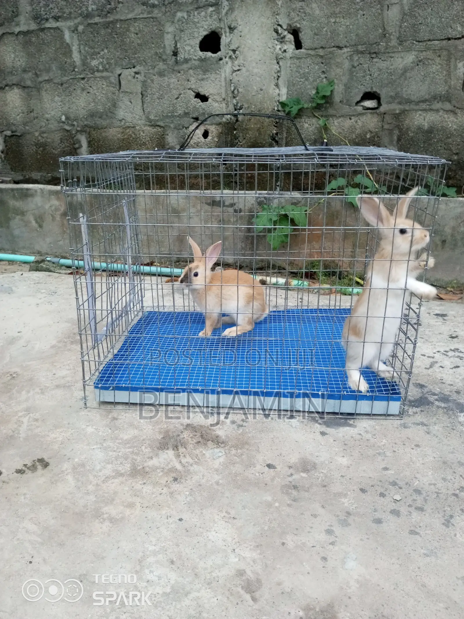 Single Hutch Rabbit / Small Animal Cage