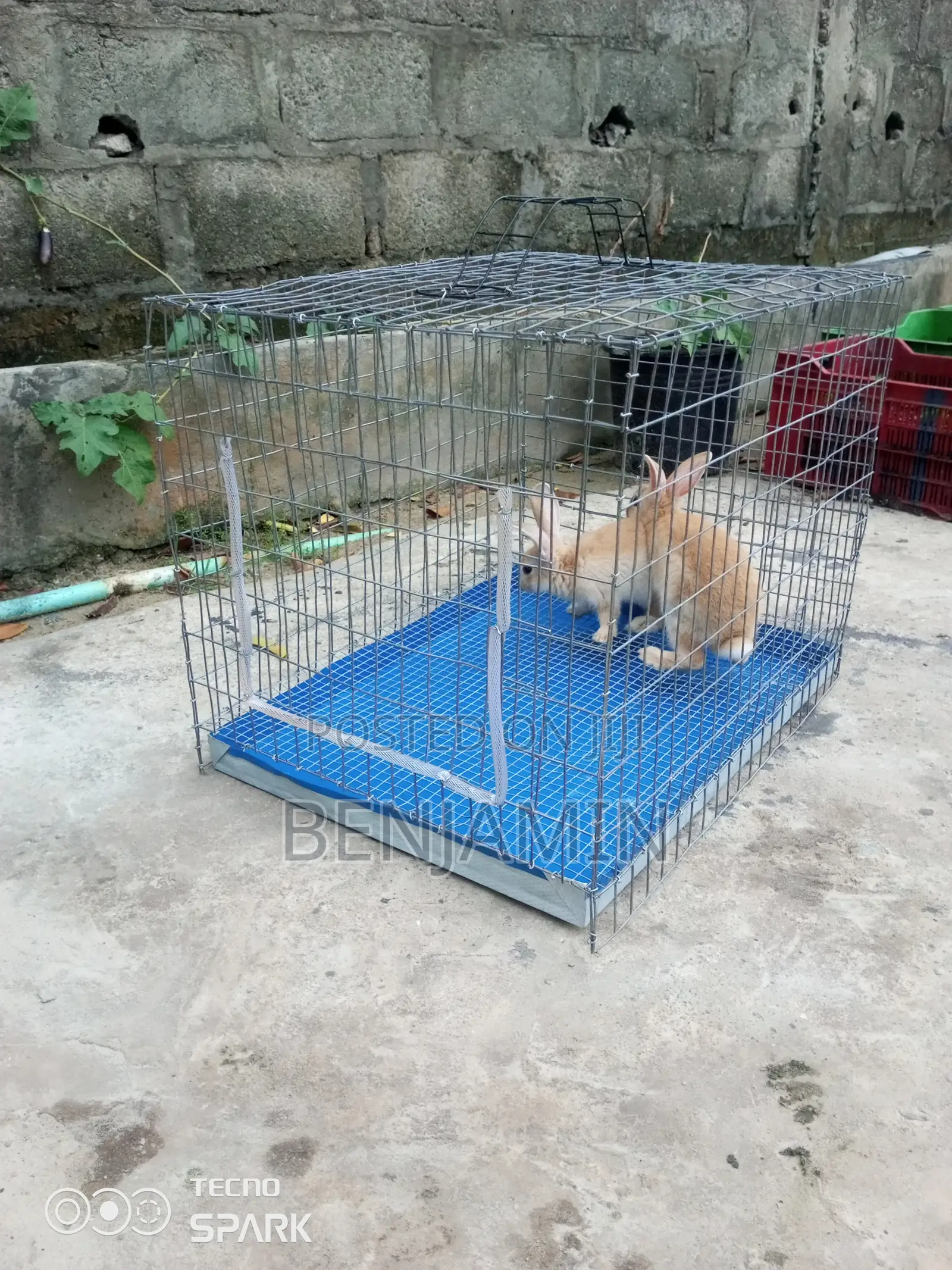 Single Hutch Rabbit / Small Animal Cage