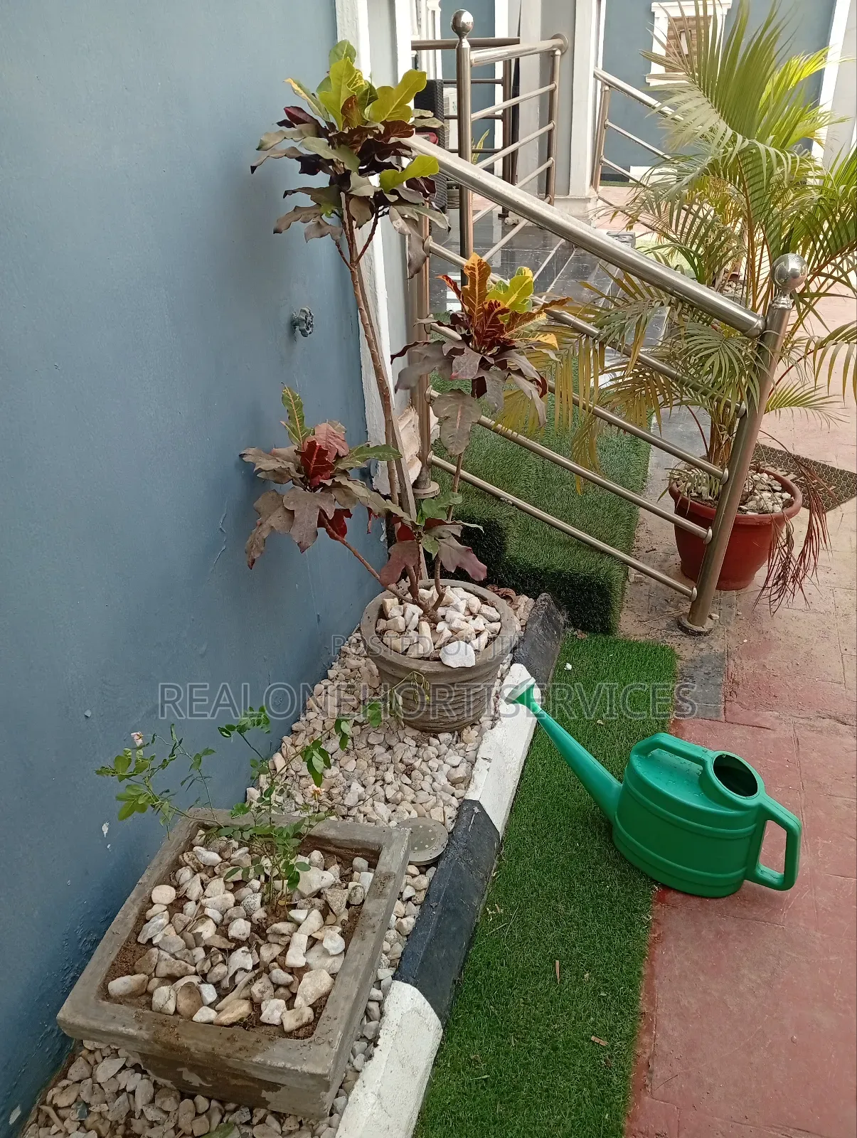 Transform Your Outdoor Spaces With Beautiful Live Plants and Flowering