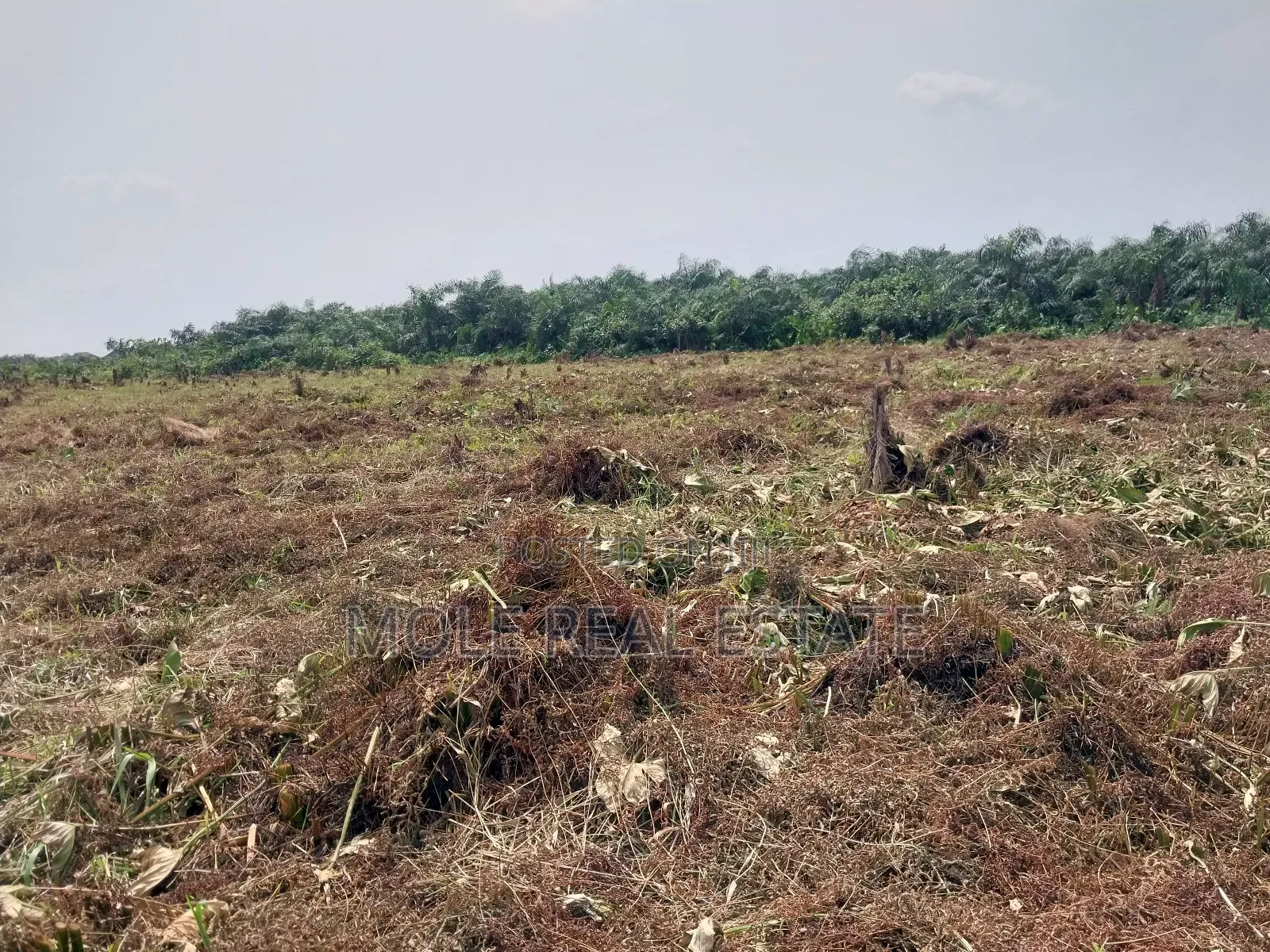 Full Plot of Land Ijegun Festac by Baptist Bustop