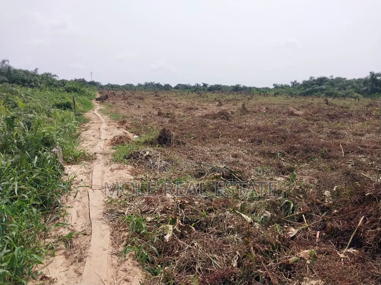 Full Plot of Land Ijegun Festac by Baptist Bustop