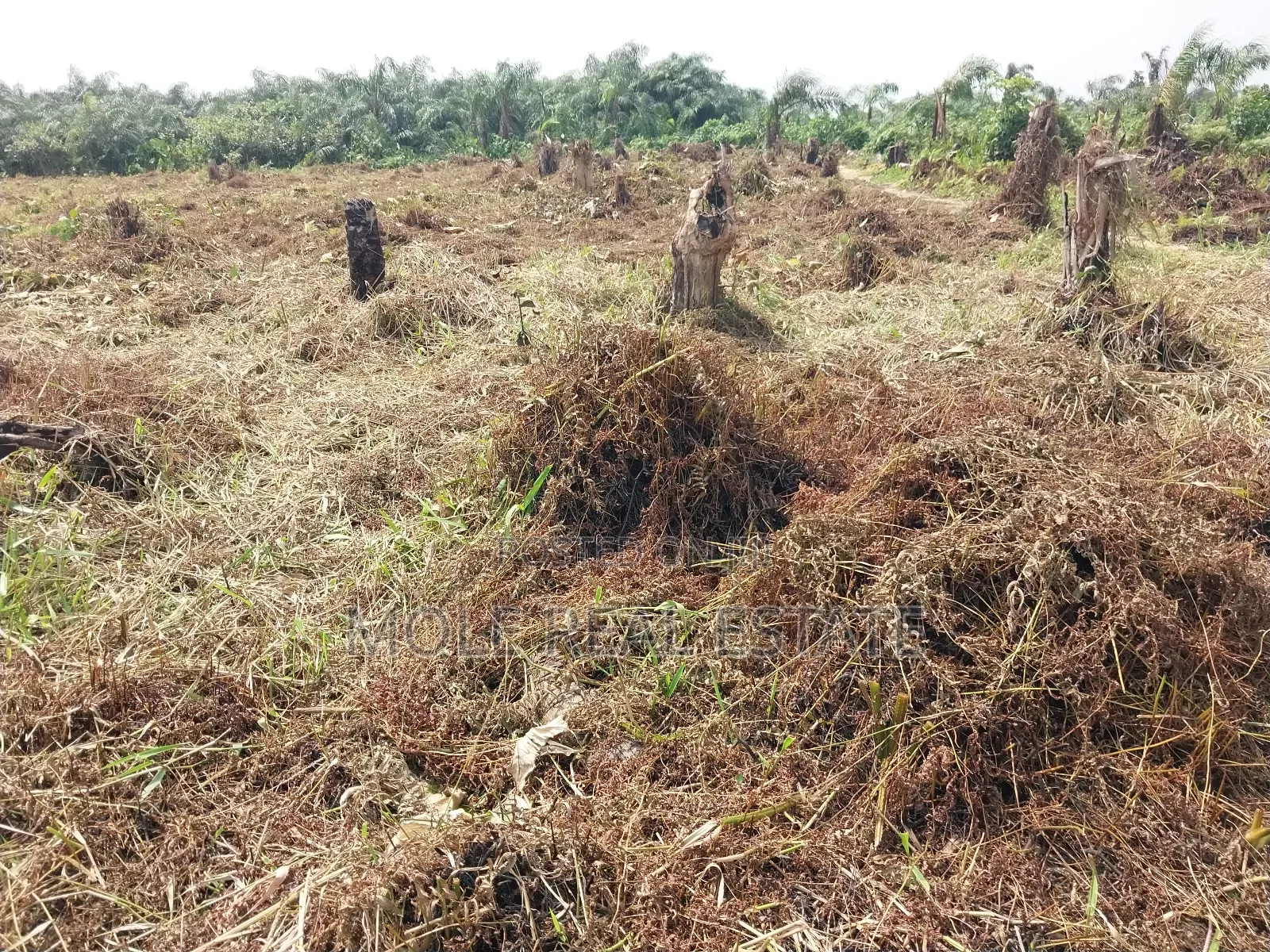 300square Meter Half Plot Ijegun Festac Link