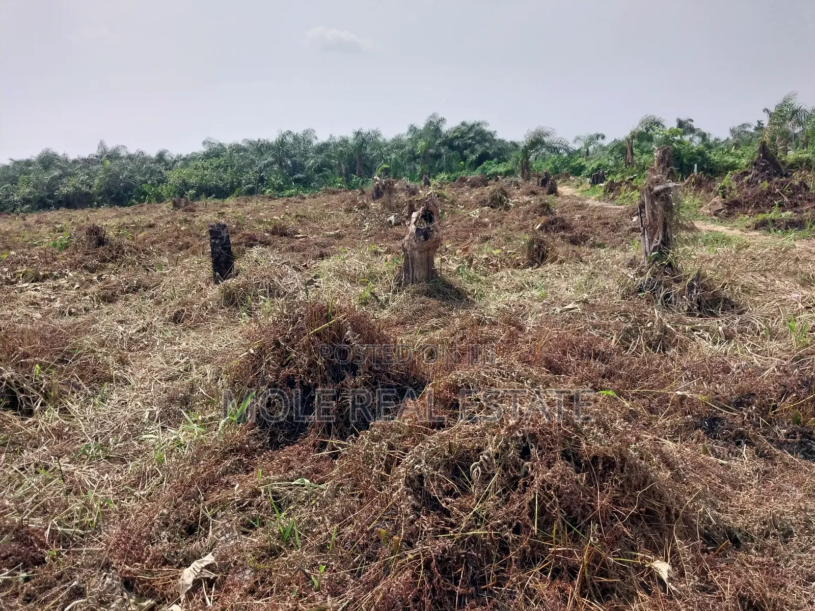 150sqm Quater New Ijegun Festac Link