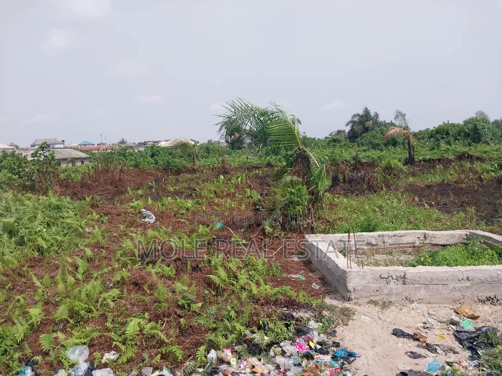 300sqm Half Plot Ijegun Festac New Link RD
