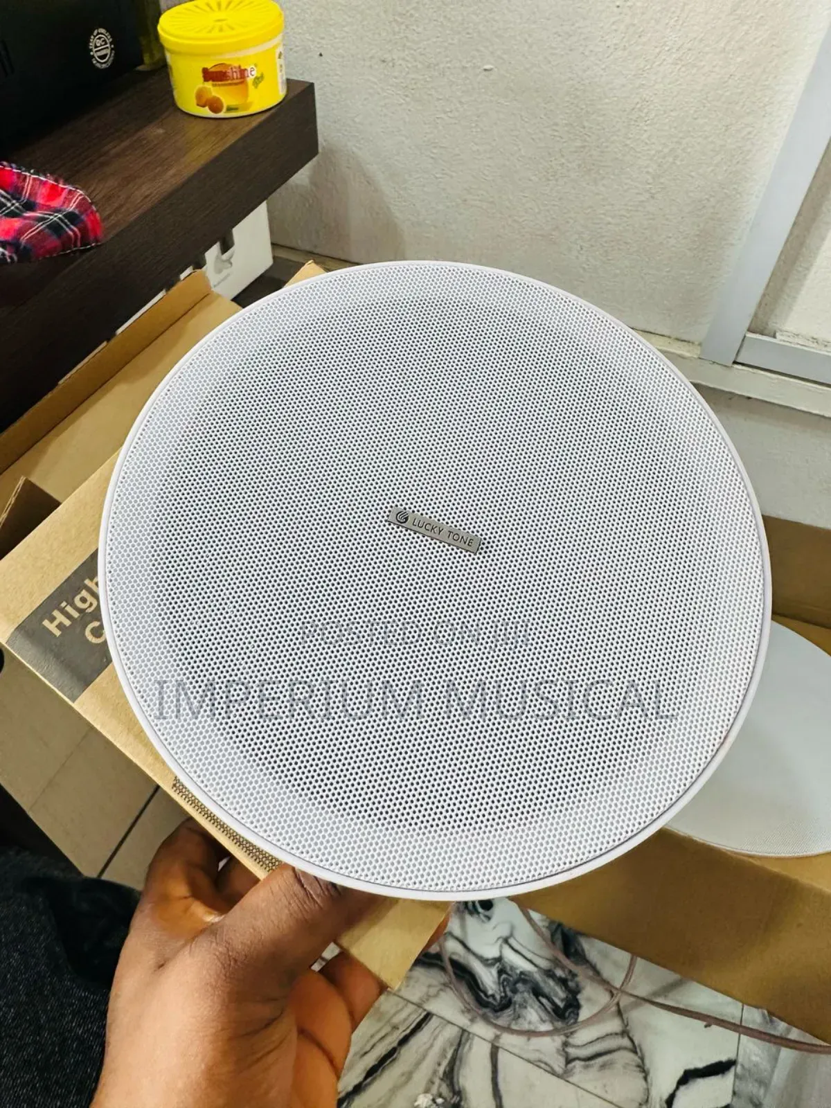 Rimeless Ceiling Speakers 20watts