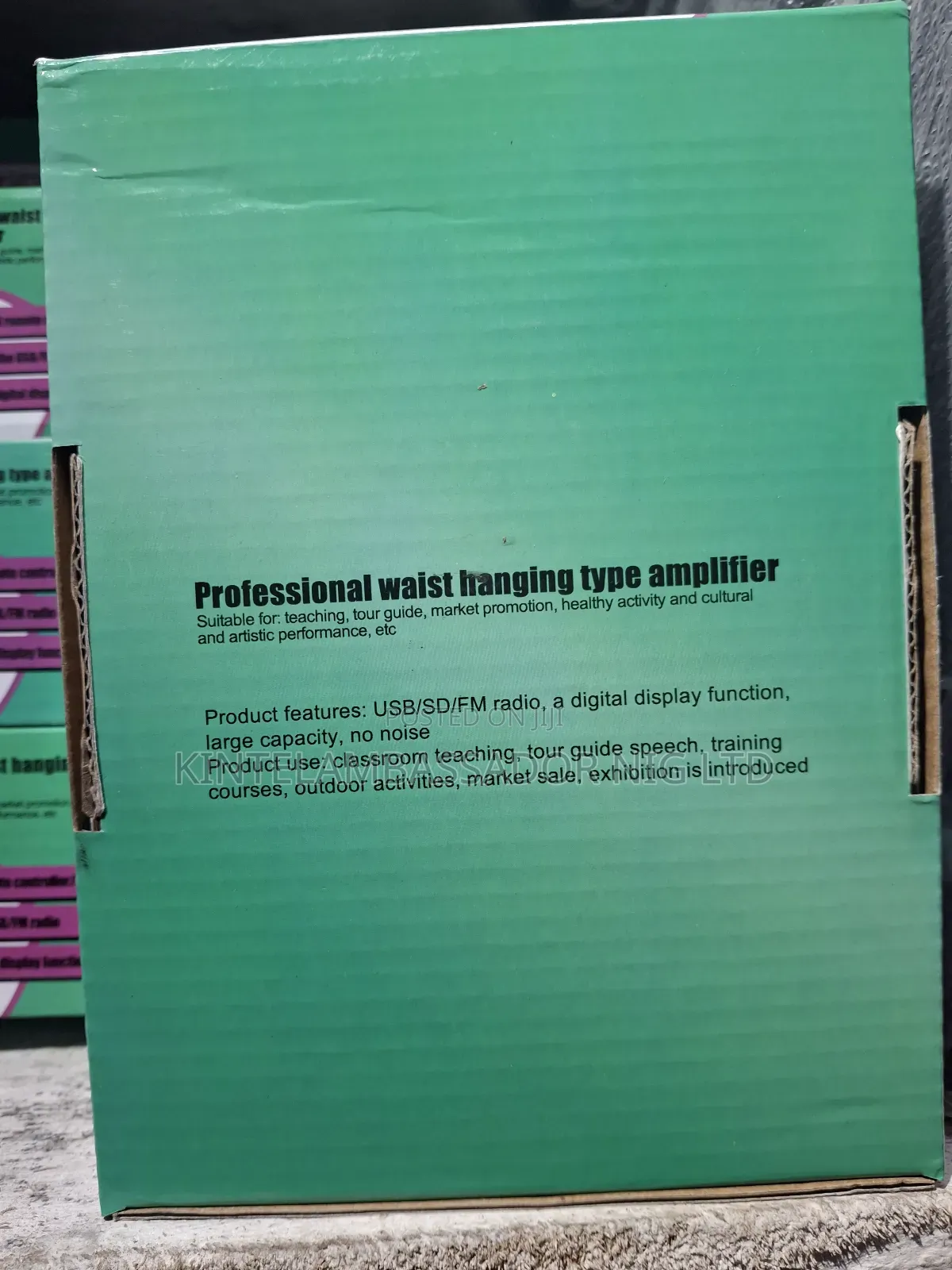 Professional Waist Hanging Amplifier