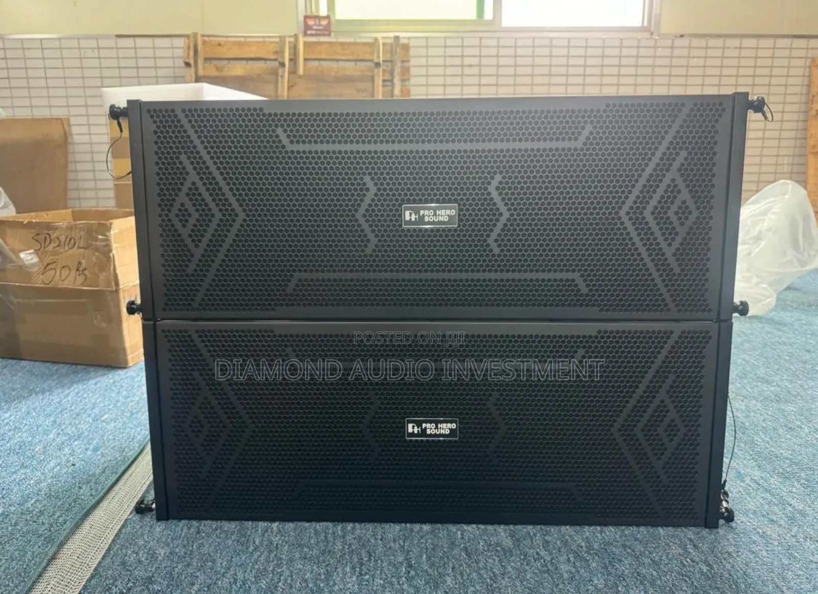 Pro Hero 10inches Line Array Speaker