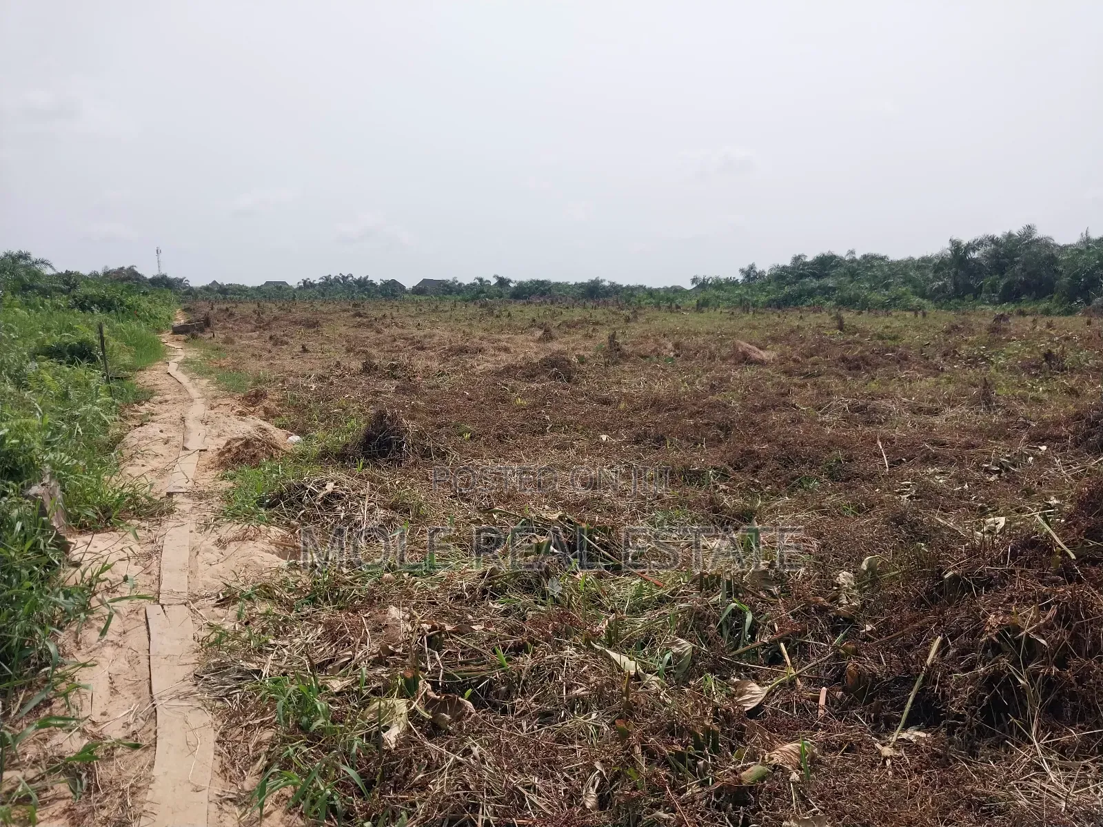 4 ( Four) Plots Ijegun Baptist Bustop by New Major RD