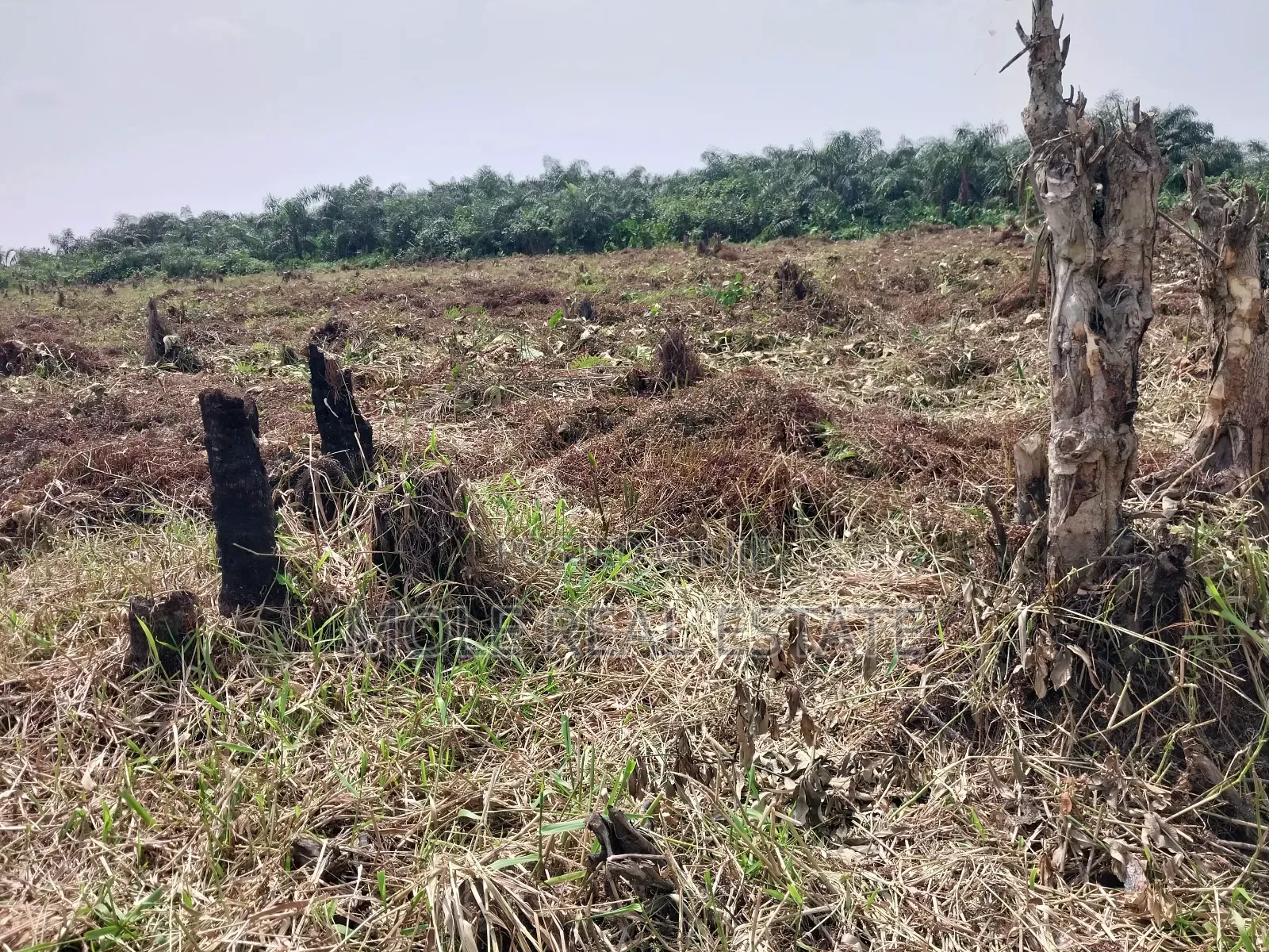 4 ( Four) Plots Ijegun Baptist Bustop by New Major RD