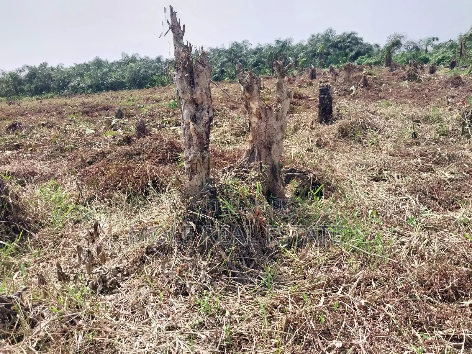 4 ( Four) Plots Ijegun Baptist Bustop by New Major RD