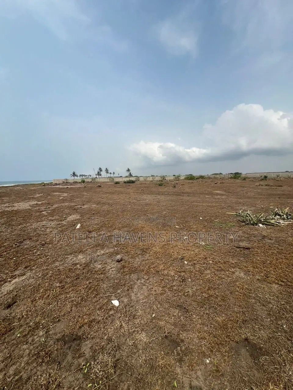Beachfronts Land Directly Facing the Ocean