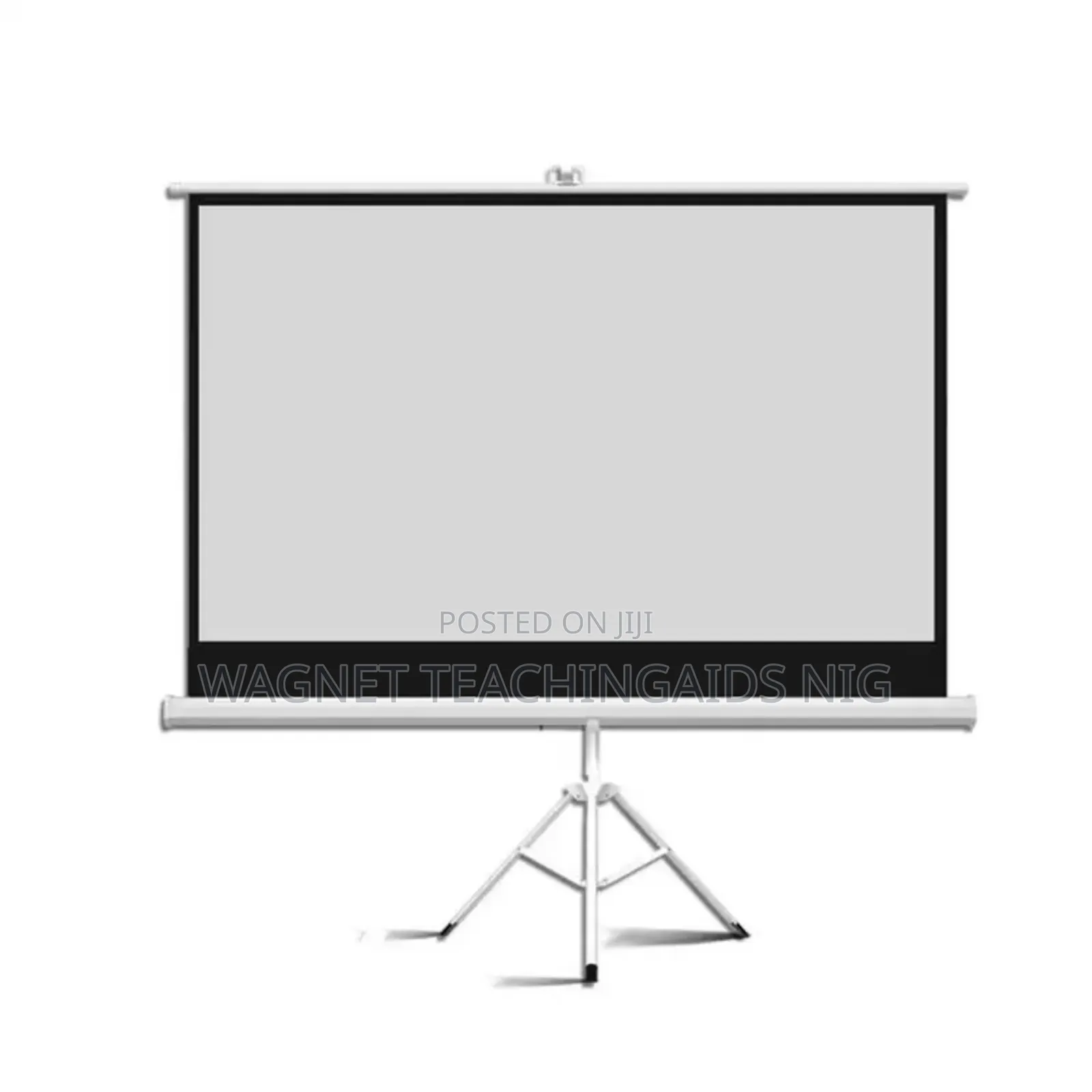 96x96inches Projection Screen