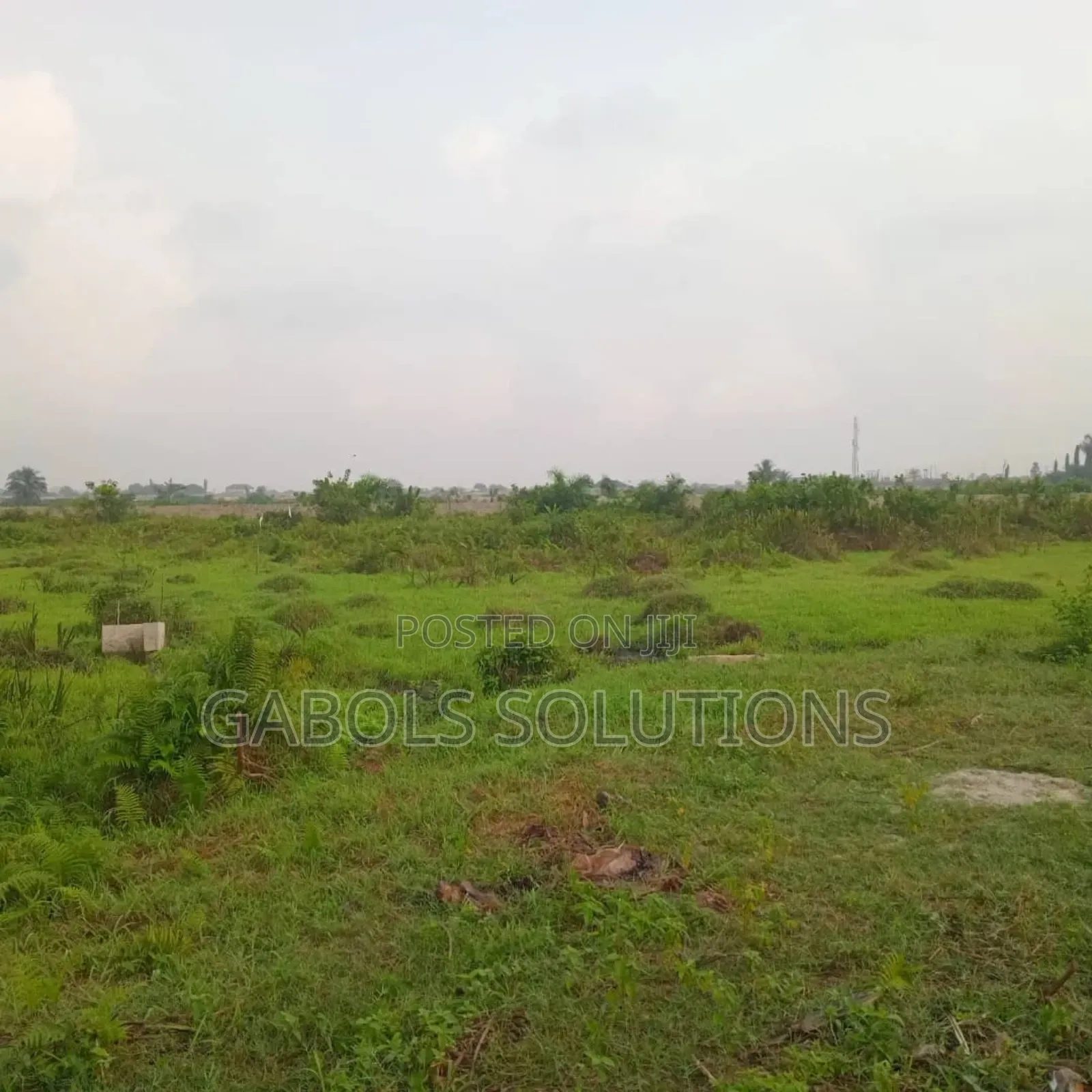 50 Acres Facing the Express