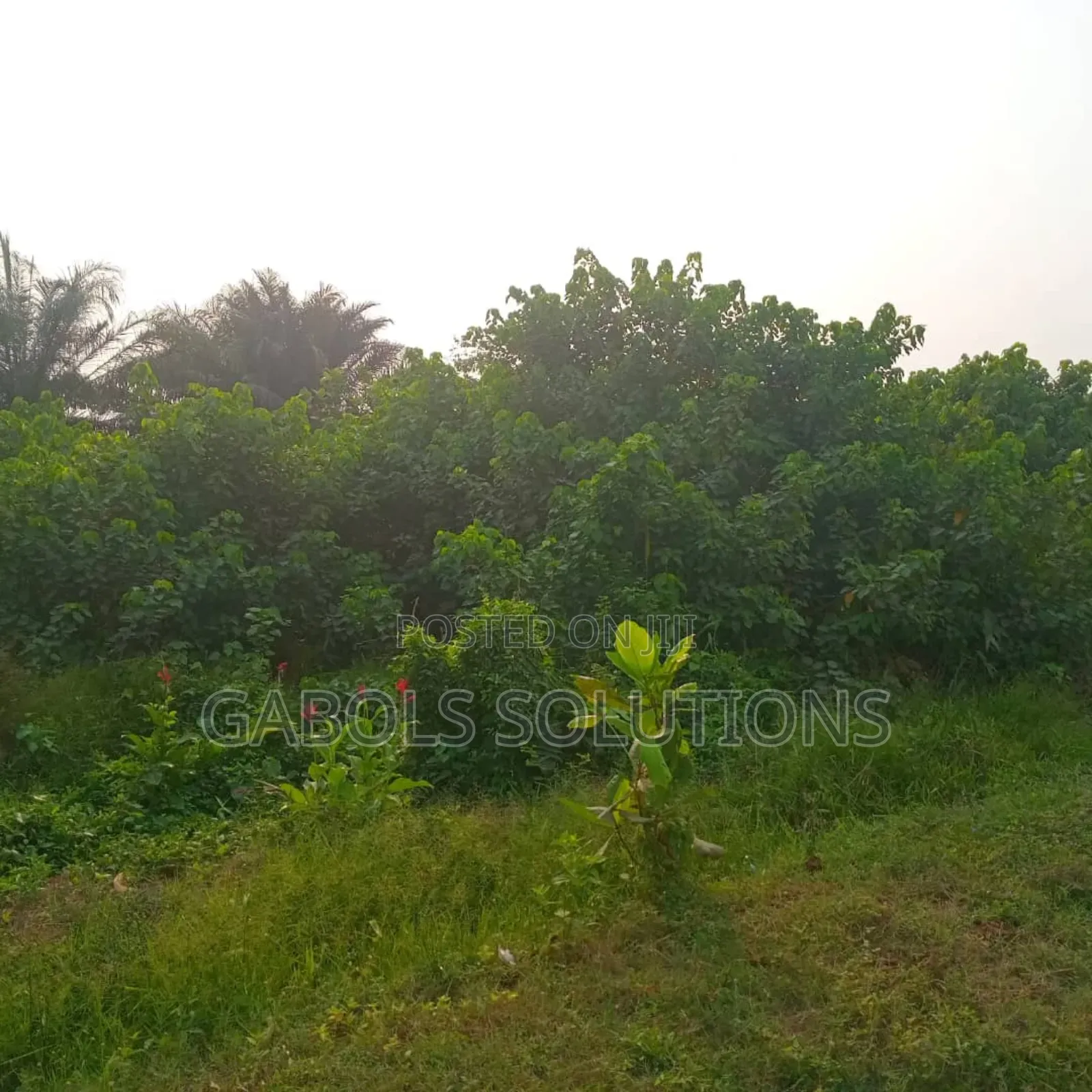 2 Plots Gbetu Awoyaya
