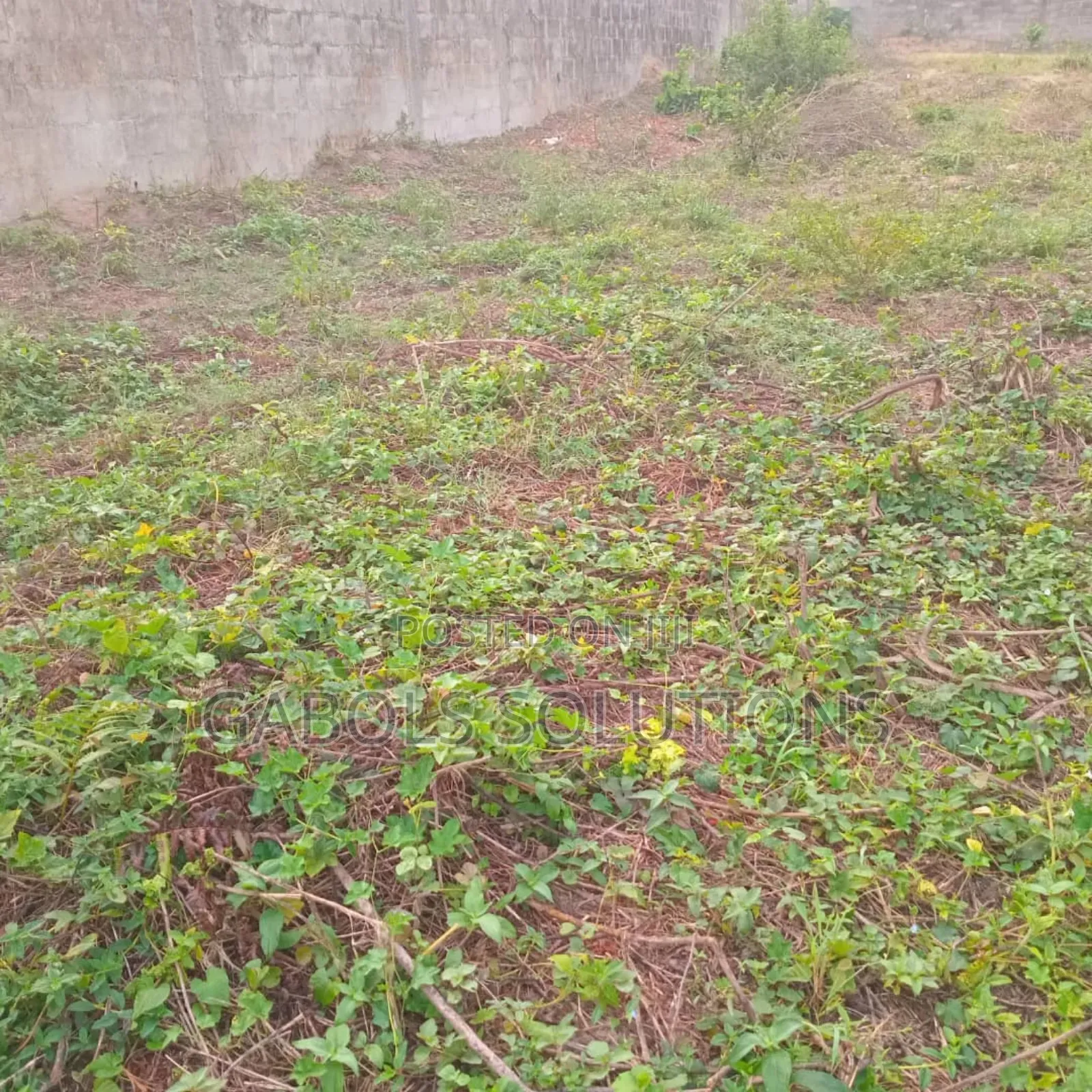 12 Plots in Ogunfayo. Title: Village Excision. Price: 40m