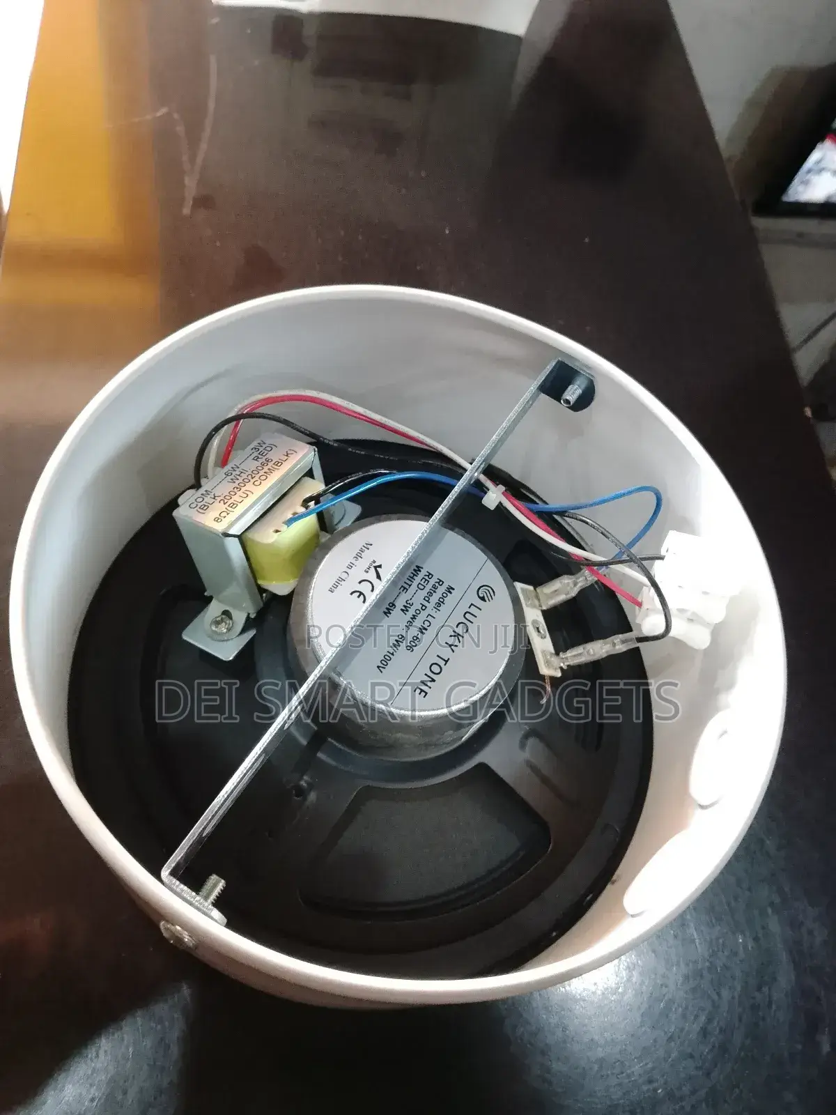 Lucky Tone Ceiling Speaker